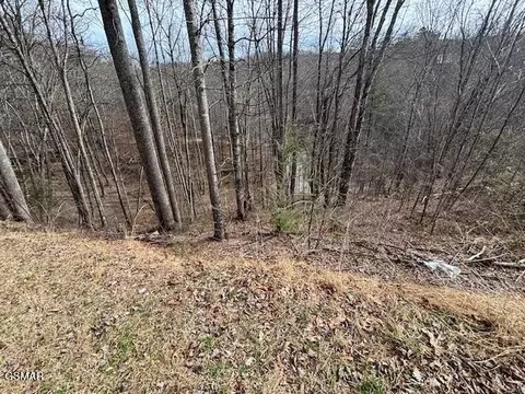 444 Sky Vw, Sevierville, TN 37876