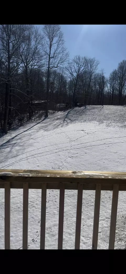 Exterior - 527 Hog Back Ridge Rd, Bethpage, TN 37022 photo 8 of 11