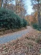 3 Rocky Ridge Rd, Cosby, TN 37722