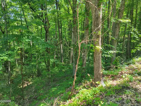 20 Sunset Dr, Sevierville, TN 37876