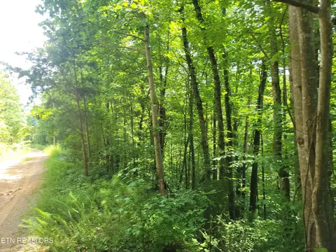 81 Buttonwood Dr, Sevierville, TN 37876