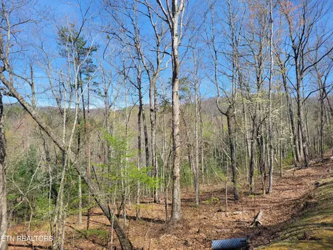 10 Black Oak Dr, Sevierville, TN 37876