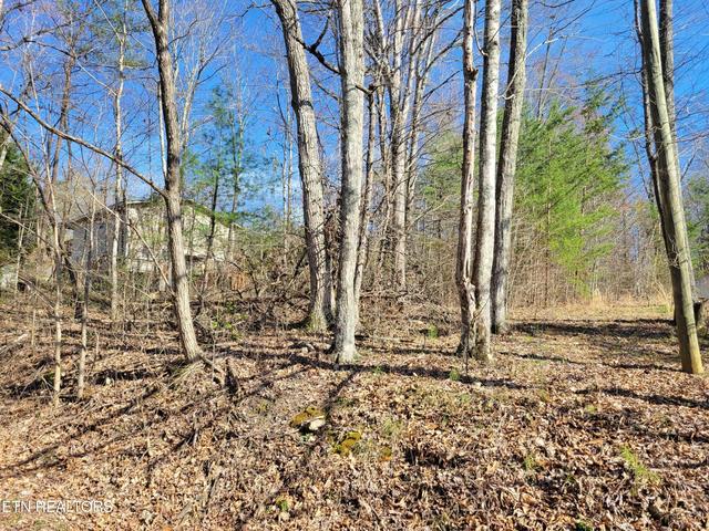 69 Alpine Dr, Sevierville, TN 37876