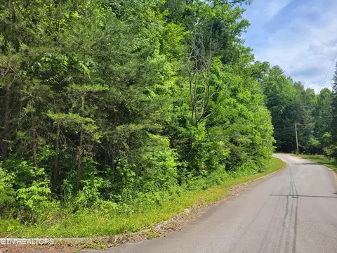 13 Peace Ln, Cosby, TN 37722