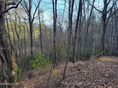 5 Swann Saddle, Sevierville, TN 37876