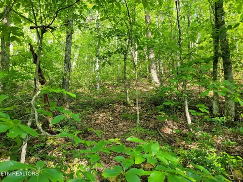 27 Black Oak Dr, Sevierville, TN 37876