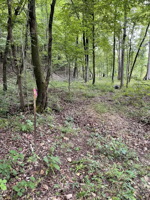 0 Brownfield Rd, Dover, TN 37058 photo 3