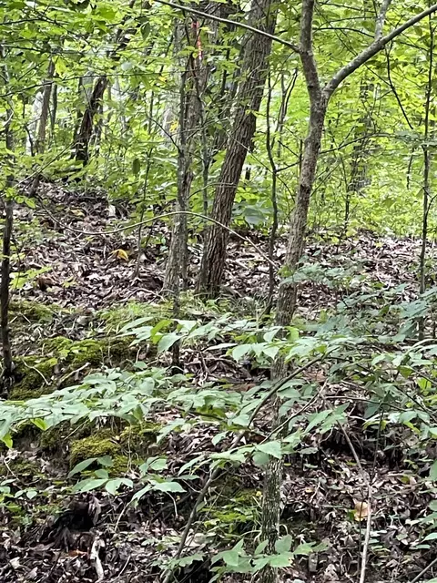 0 Brownfield Rd, Dover, TN 37058 photo 4