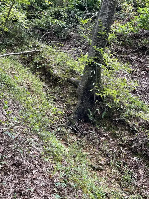 0 Brownfield Rd, Dover, TN 37058 photo 6