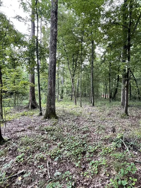 0 Brownfield Rd, Dover, TN 37058 photo 2