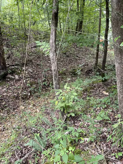 0 Brownfield Rd, Dover, TN 37058 photo 5