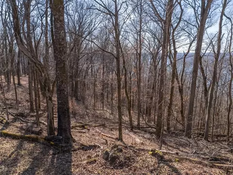 28 Back Ranch Dr, Silver Point, TN 38582 photo 8