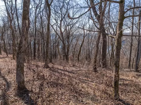 28 Back Ranch Dr, Silver Point, TN 38582 photo 9