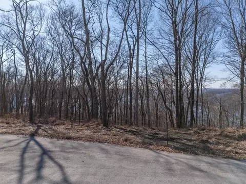 28 Back Ranch Dr, Silver Point, TN 38582 photo 7