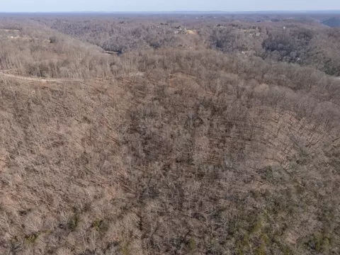 28 Back Ranch Dr, Silver Point, TN 38582 photo 12