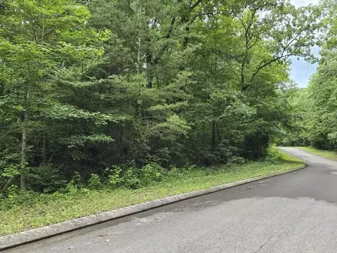 135 Lower Brow Rd, Dunlap, TN 37327