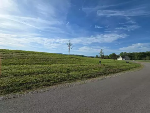 9698 River Ridge Dr, Dunlap, TN 37327 photo 5