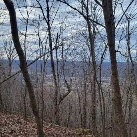 0 Little Bedford Rd, Spring City, TN 37381
