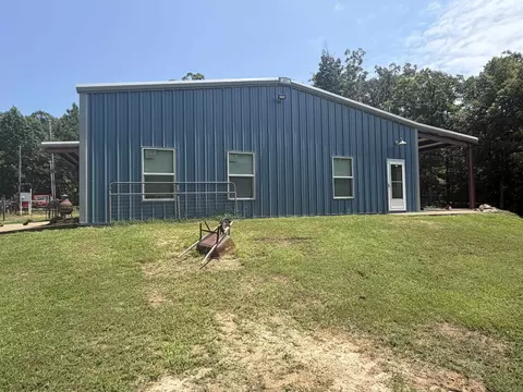 Exterior - 175 Duck Rd, Sugar Tree, TN 38380 photo 3 of 9