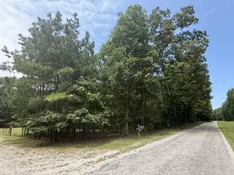 Other - 175 Duck Rd, Sugar Tree, TN 38380 photo 6 of 11