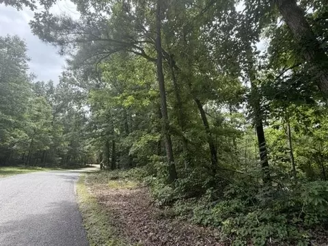 Other - 175 Duck Rd, Sugar Tree, TN 38380 photo 7 of 11