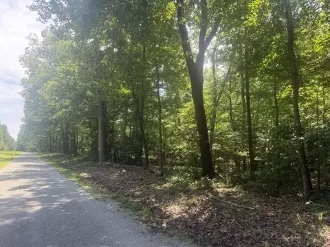 Other - 175 Duck Rd, Sugar Tree, TN 38380 photo 8 of 11