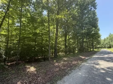 Other - 175 Duck Rd, Sugar Tree, TN 38380 photo 9 of 11
