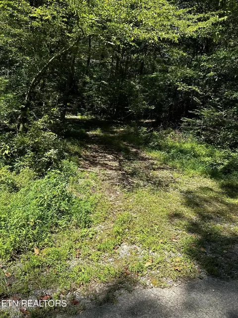 0 Bailey Rd, Tellico Plains, TN 37385
