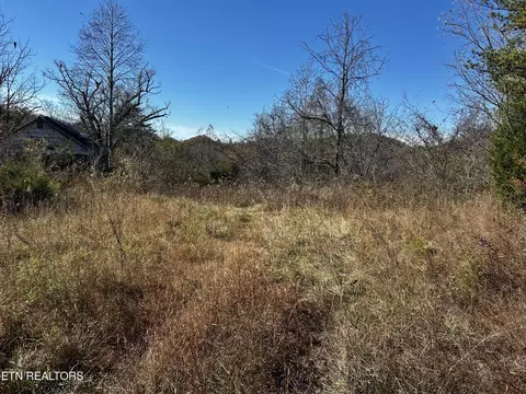 0 Shaddon Rd #LOT 1, Tellico Plains, TN 37385
