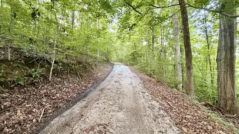 Other - 309 Charley Davis Rd, Goodspring, TN 38460 photo 34 of 49