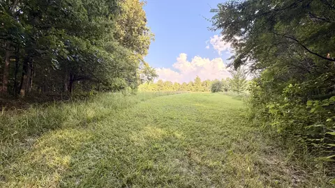 Other - 309 Charley Davis Rd, Goodspring, TN 38460 photo 9 of 49