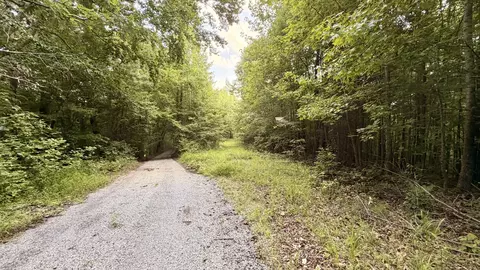 Other - 309 Charley Davis Rd, Goodspring, TN 38460 photo 33 of 49