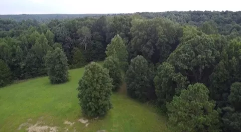 Other - 309 Charley Davis Rd, Goodspring, TN 38460 photo 36 of 49
