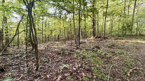 309 Charley Davis Rd, Goodspring, TN 38460 photo 8
