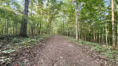 Other - 309 Charley Davis Rd, Goodspring, TN 38460 photo 15 of 49