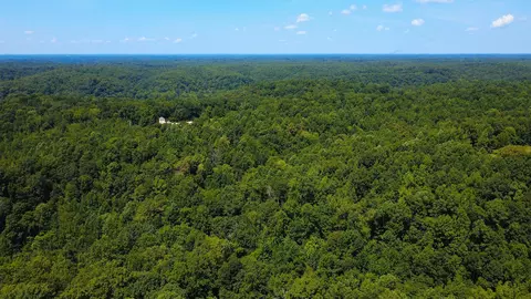 View/Area - 309 Charley Davis Rd, Goodspring, TN 38460 photo 2 of 3