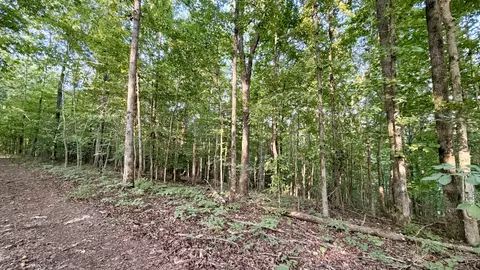 Other - 309 Charley Davis Rd, Goodspring, TN 38460 photo 13 of 49