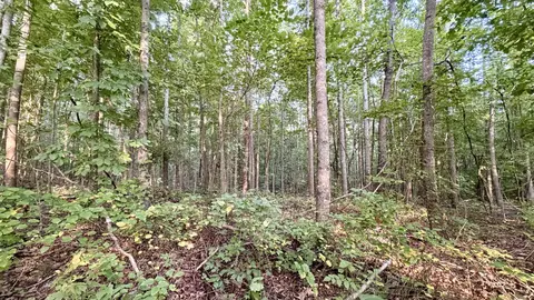 Other - 309 Charley Davis Rd, Goodspring, TN 38460 photo 7 of 49