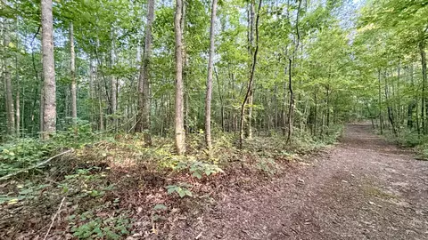 309 Charley Davis Rd, Goodspring, TN 38460 photo 7
