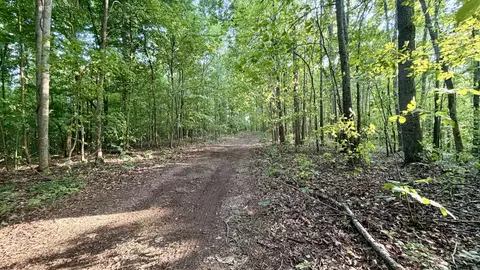 Other - 309 Charley Davis Rd, Goodspring, TN 38460 photo 12 of 49