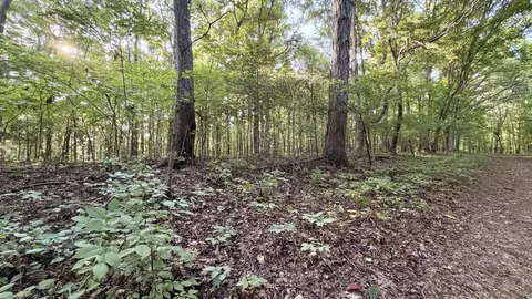 Other - 309 Charley Davis Rd, Goodspring, TN 38460 photo 14 of 49
