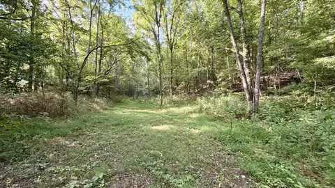 Other - 309 Charley Davis Rd, Goodspring, TN 38460 photo 35 of 49