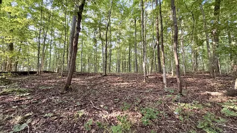 Exterior - 309 Charley Davis Rd, Goodspring, TN 38460 photo 14 of 21
