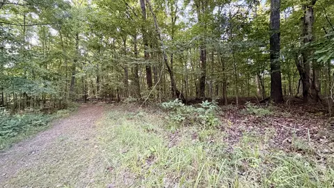 Other - 309 Charley Davis Rd, Goodspring, TN 38460 photo 10 of 49