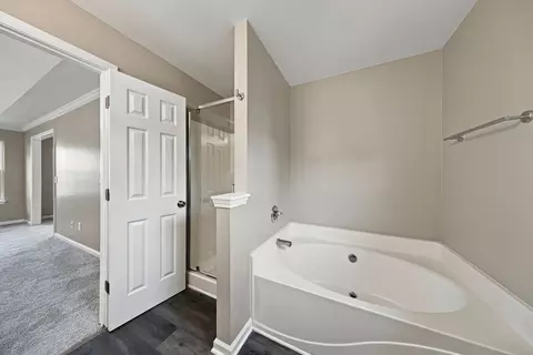 Bath - 2240 Hayward Ln, Spring Hill, TN 37174 photo 3 of 4