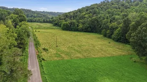 1 Cathcart Rd, Frankewing, TN 38459