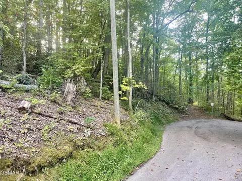3 Carter Plz, Gatlinburg, TN 37738