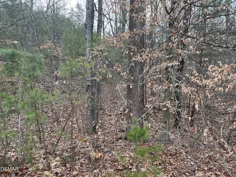 23 Blue Springs Way, Newport, TN 37821
