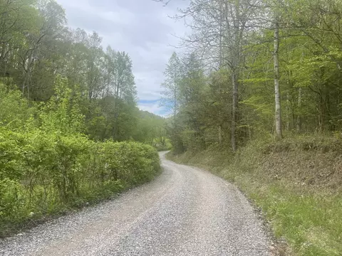 6 Talley Rd, Parrottsville, TN 37843