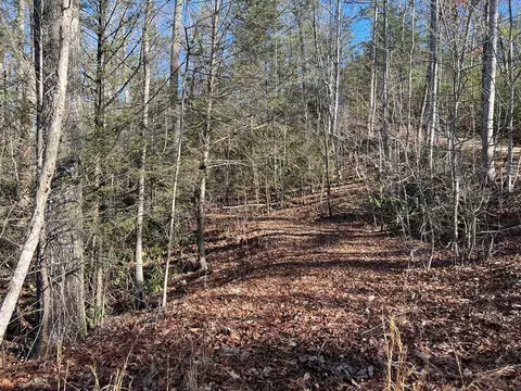 0 Hickory Hollow Rd, Cosby, TN 37722